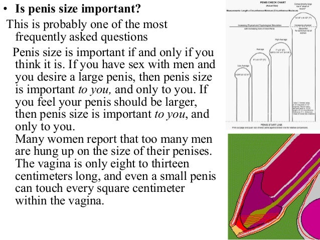 Penis and vagina sizes pics 316